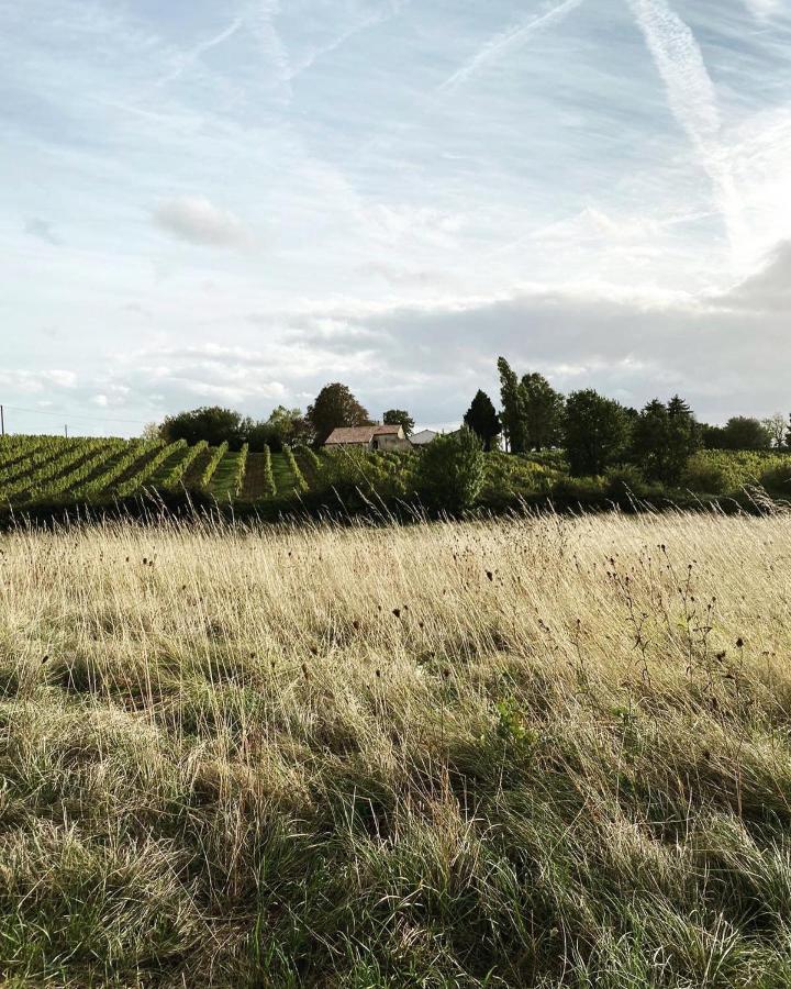 Chateau Le Repos Rouffignac-de-Sigoules エクステリア 写真